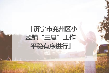 济宁市兖州区小孟镇“三夏”工作平稳有序进行