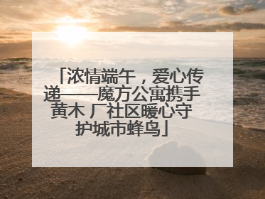 浓情端午，爱心传递——魔方公寓携手黄木 厂社区暖心守护城市蜂鸟