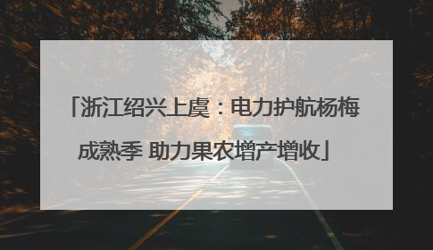 浙江绍兴上虞：电力护航杨梅成熟季 助力果农增产增收