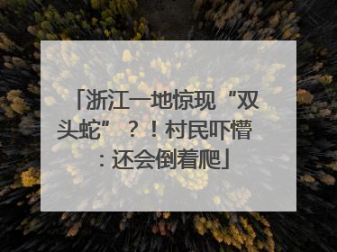 浙江一地惊现“双头蛇”？！村民吓懵：还会倒着爬