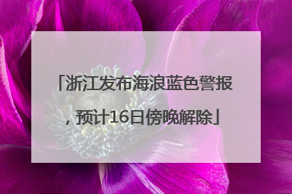 浙江发布海浪蓝色警报，预计16日傍晚解除