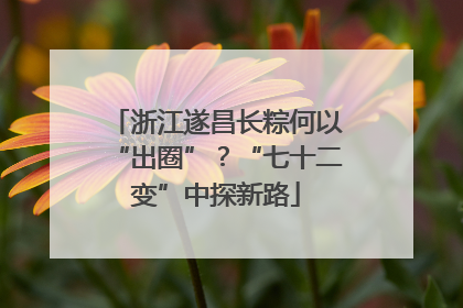 浙江遂昌长粽何以“出圈”？“七十二变”中探新路