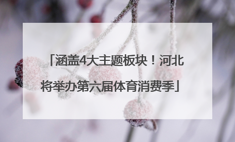 涵盖4大主题板块！河北将举办第六届体育消费季
