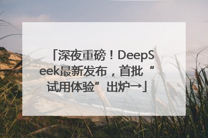 深夜重磅！DeepSeek最新发布，首批“试用体验”出炉→
