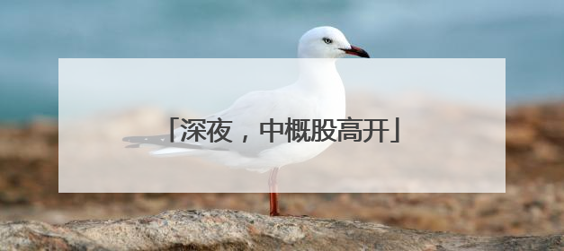 深夜，中概股高开