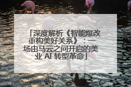深度解析《智能爆改 重构美好关系》：一场由马云之问开启的美业 AI 转型革命