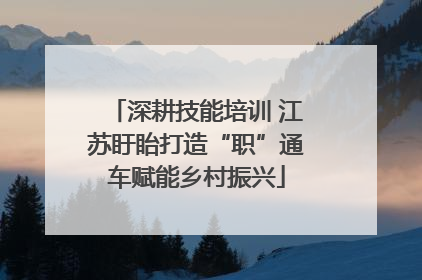 深耕技能培训 江苏盱眙打造“职”通车赋能乡村振兴
