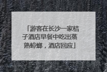 游客在长沙一家桔子酒店早餐中吃出蒸熟蟑螂，酒店回应