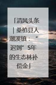 清风头条｜桑植县人潮溪镇：“迟到”5年的生态林补偿金