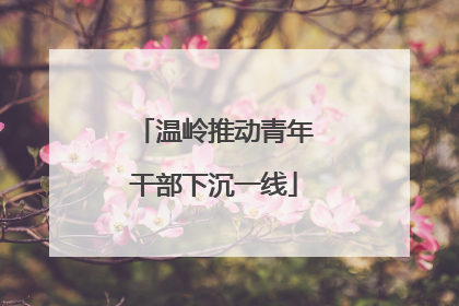 温岭推动青年干部下沉一线