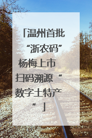 温州首批“浙农码”杨梅上市 扫码溯源“数字土特产”