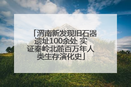 渭南新发现旧石器遗址100余处 实证秦岭北麓百万年人类生存演化史