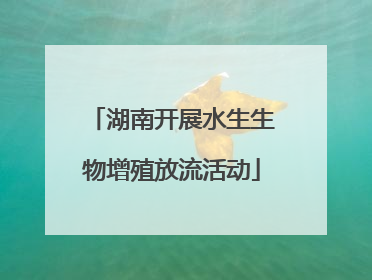 湖南开展水生生物增殖放流活动