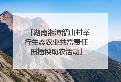 湖南湘潭韶山村举行生态农业共富责任田插秧助农活动