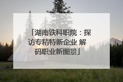 湖南铁科职院：探访专精特新企业 解码职业新图景