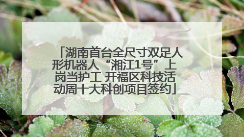 湖南首台全尺寸双足人形机器人“湘江1号”上岗当护工 开福区科技活动周十大科创项目签约