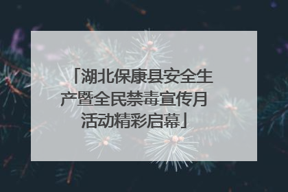 湖北保康县安全生产暨全民禁毒宣传月活动精彩启幕