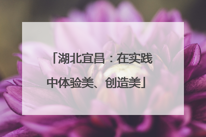 湖北宜昌：在实践中体验美、创造美