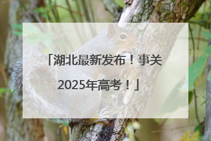 湖北最新发布！事关2025年高考！