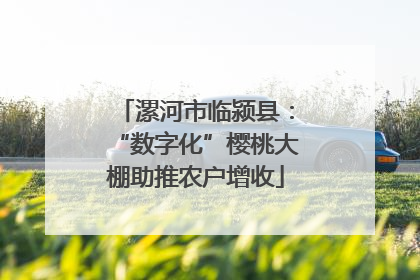 漯河市临颍县：“数字化”樱桃大棚助推农户增收