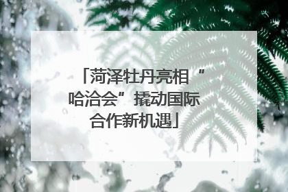 菏泽牡丹亮相“哈洽会”撬动国际合作新机遇
