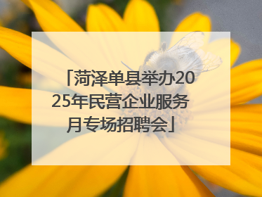 菏泽单县举办2025年民营企业服务月专场招聘会