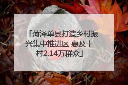 菏泽单县打造乡村振兴集中推进区 惠及十村2.14万群众