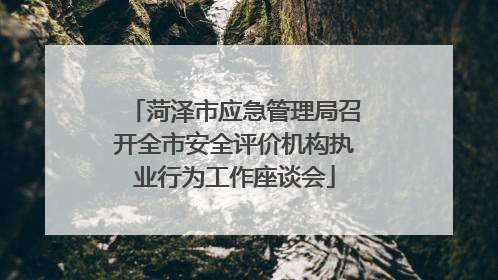 菏泽市应急管理局召开全市安全评价机构执业行为工作座谈会