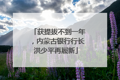 获提拔不到一年，内蒙古银行行长洪少平再履新