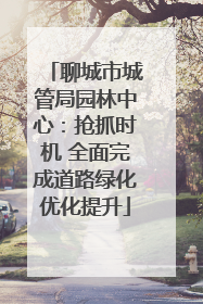 聊城市城管局园林中心：抢抓时机 全面完成道路绿化优化提升