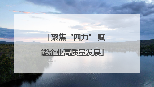 聚焦“四力” 赋能企业高质量发展
