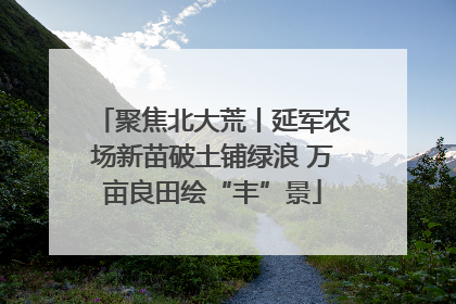 聚焦北大荒丨延军农场新苗破土铺绿浪 万亩良田绘“丰”景