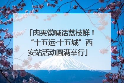 肉夹馍喊话荔枝鲜！“十五运·十五城”西安站活动圆满举行