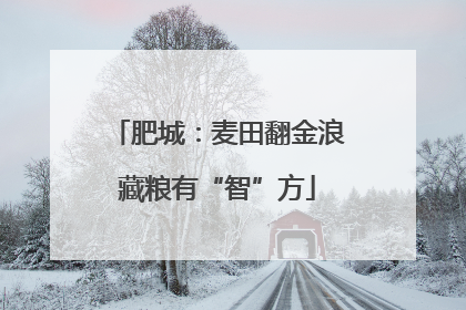 肥城：麦田翻金浪藏粮有“智”方