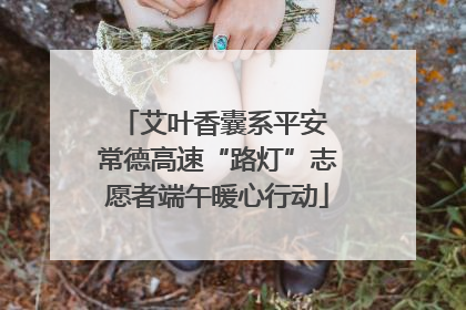 艾叶香囊系平安 常德高速“路灯”志愿者端午暖心行动