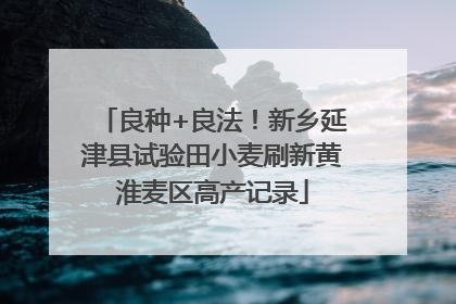 良种+良法！新乡延津县试验田小麦刷新黄淮麦区高产记录