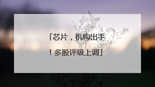 芯片，机构出手！多股评级上调