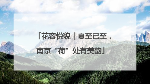 花容悦貌｜夏至已至，南京“荷”处有美韵