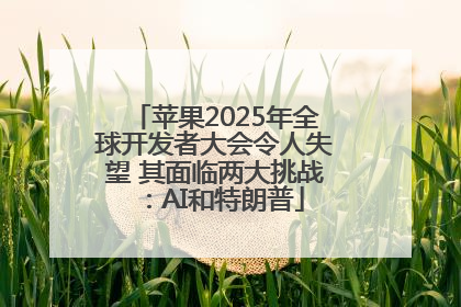 苹果2025年全球开发者大会令人失望 其面临两大挑战：AI和特朗普