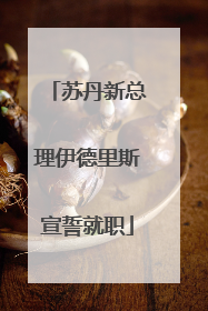 苏丹新总理伊德里斯宣誓就职