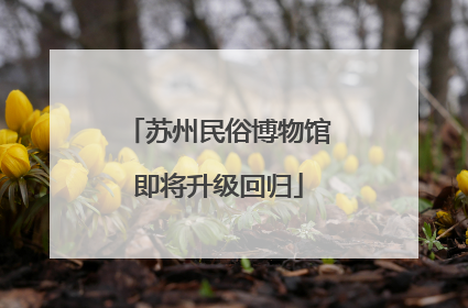 苏州民俗博物馆即将升级回归