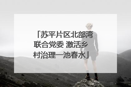 苏平片区北部湾联合党委 激活乡村治理一池春水
