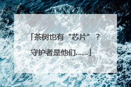 茶树也有“芯片”？守护者是他们……