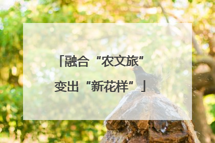 融合“农文旅” 变出“新花样”