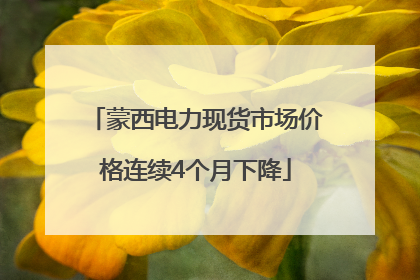 蒙西电力现货市场价格连续4个月下降