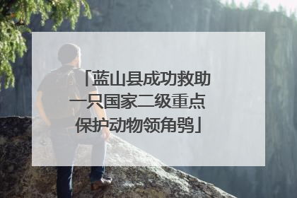 蓝山县成功救助一只国家二级重点保护动物领角鸮