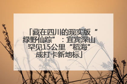 藏在四川的现实版“绿野仙踪”：宜宾深山罕见15公里“稻海”成打卡新地标