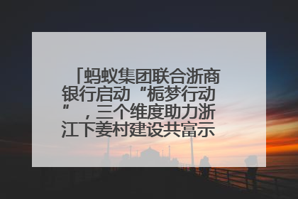 蚂蚁集团联合浙商银行启动“栀梦行动”，三个维度助力浙江下姜村建设共富示范区示范点