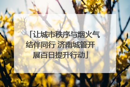 让城市秩序与烟火气结伴同行 济南城管开展百日提升行动