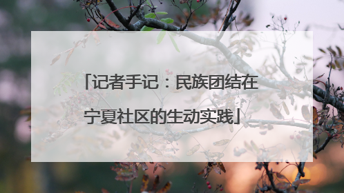记者手记：民族团结在宁夏社区的生动实践